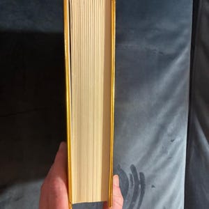 Het boek 'The Religion' van Tim Willocks, 2007, eerste editie, eerste druk. Zeer goede/bijna perfecte staat. afbeelding 8