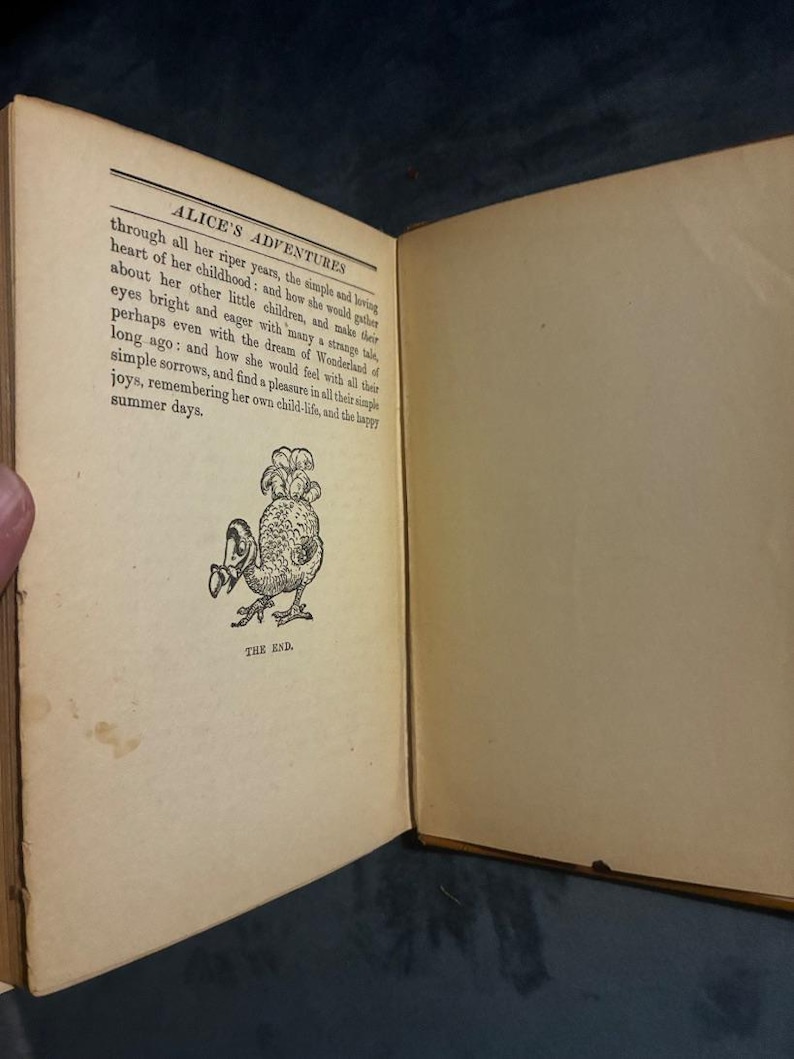 Alice's Adventures in Wonderland by Lewis Carroll 1923 Dodd, Mead and Company Edition Good Hardcover image 11