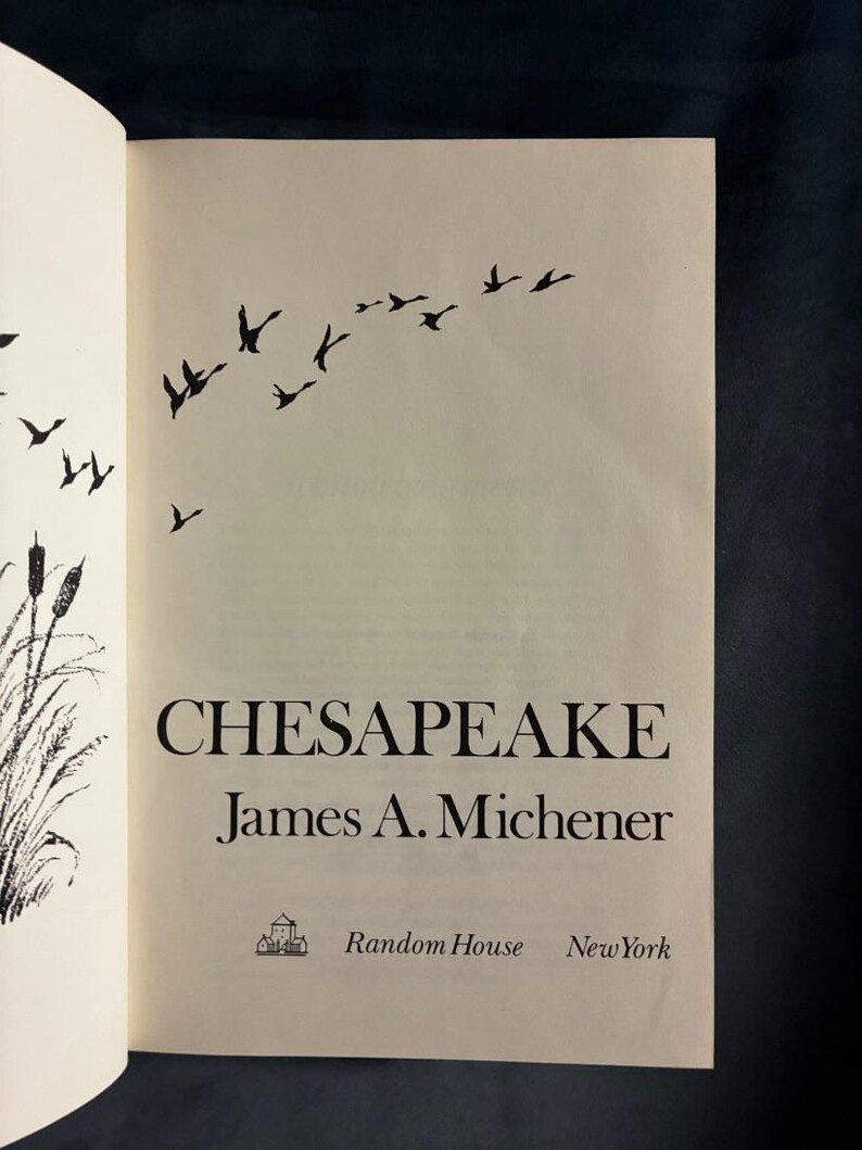 Chesapeake di James Michener Prima edizione Prima stampa Quasi perfetto/Ottimo Copertina rigida immagine 3