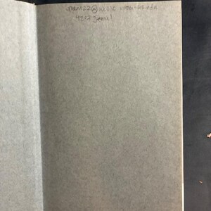 Frank O'Hara: The Poetics of Coterie by Lytle Shaw (First Edition, First Printing) image 4