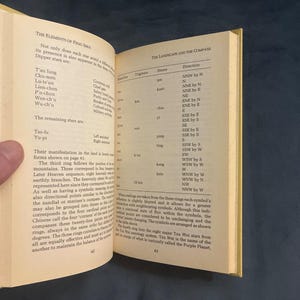 Los elementos del Feng Shui por Kwok y O'Brien, edición posterior en tapa dura (en muy buen estado) imagen 5