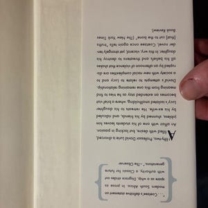 Disgrace by J. M. Coetzee 1999 First Edition First Printing Near Fine/Near Fine Hardcover image 3