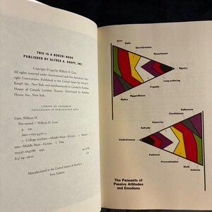 El túnel de William H. Gass, 1995, primera edición, primera impresión, casi perfecto/casi perfecto imagen 4