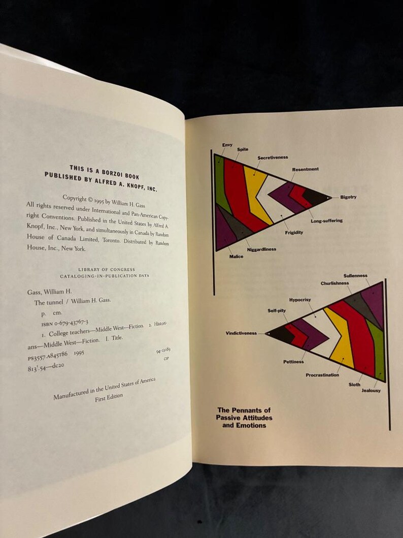 El túnel de William H. Gass, 1995, primera edición, primera impresión, casi perfecto/casi perfecto imagen 4