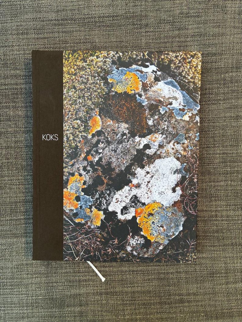 KOKS by Bent Christensen 2012 First Edition First Printing Near Fine Hardcover image 1