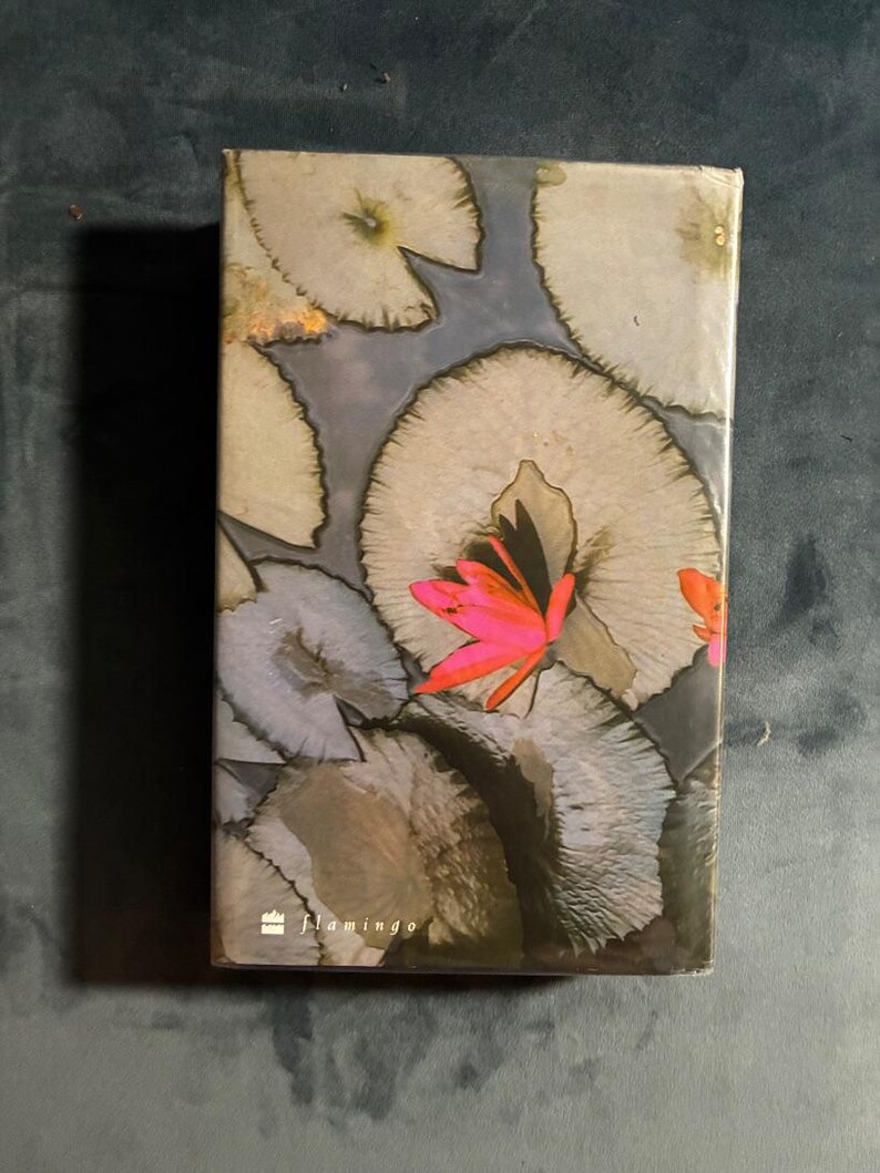 The God of Small Things by Arundhati Roy 1997 First UK Edition First Printing image 2