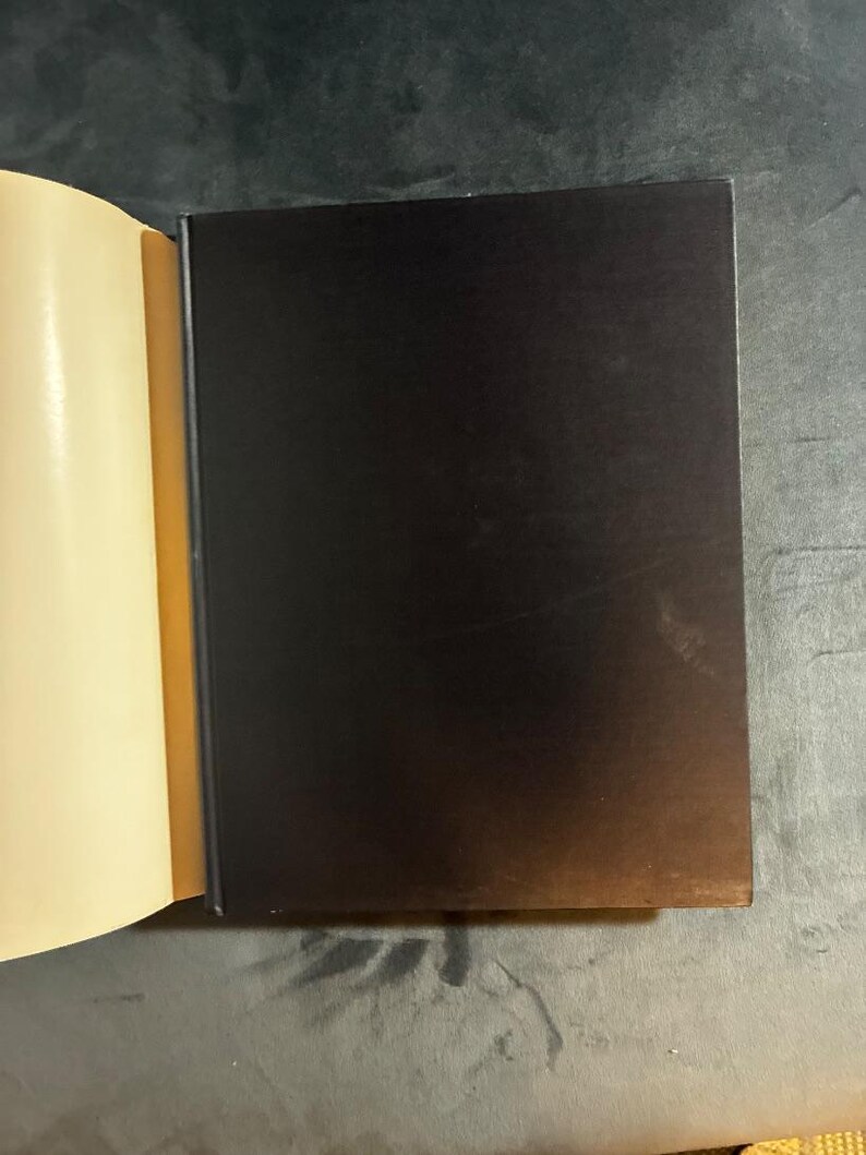 Der Künstler in Amerika, herausgegeben von den Redakteuren von Art in America, 1967, Erstausgabe, erster Druck, Zustand: Gut bis Sehr gut Bild 10