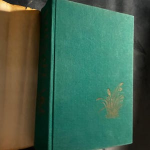 Chesapeake di James Michener Prima edizione Prima stampa Quasi perfetto/Ottimo Copertina rigida immagine 9