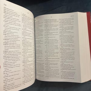 New Tibetan-English Dictionary of Modern Tibetan, Goldstein Editor, First Edition (2001) image 8