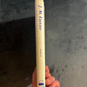 Disgrace by J. M. Coetzee 1999 First Edition First Printing Near Fine/Near Fine Hardcover image 10