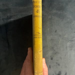 The Adventures of Prickly Porky by Thornton W. Burgess 1916 First Edition First Printing Good image 3