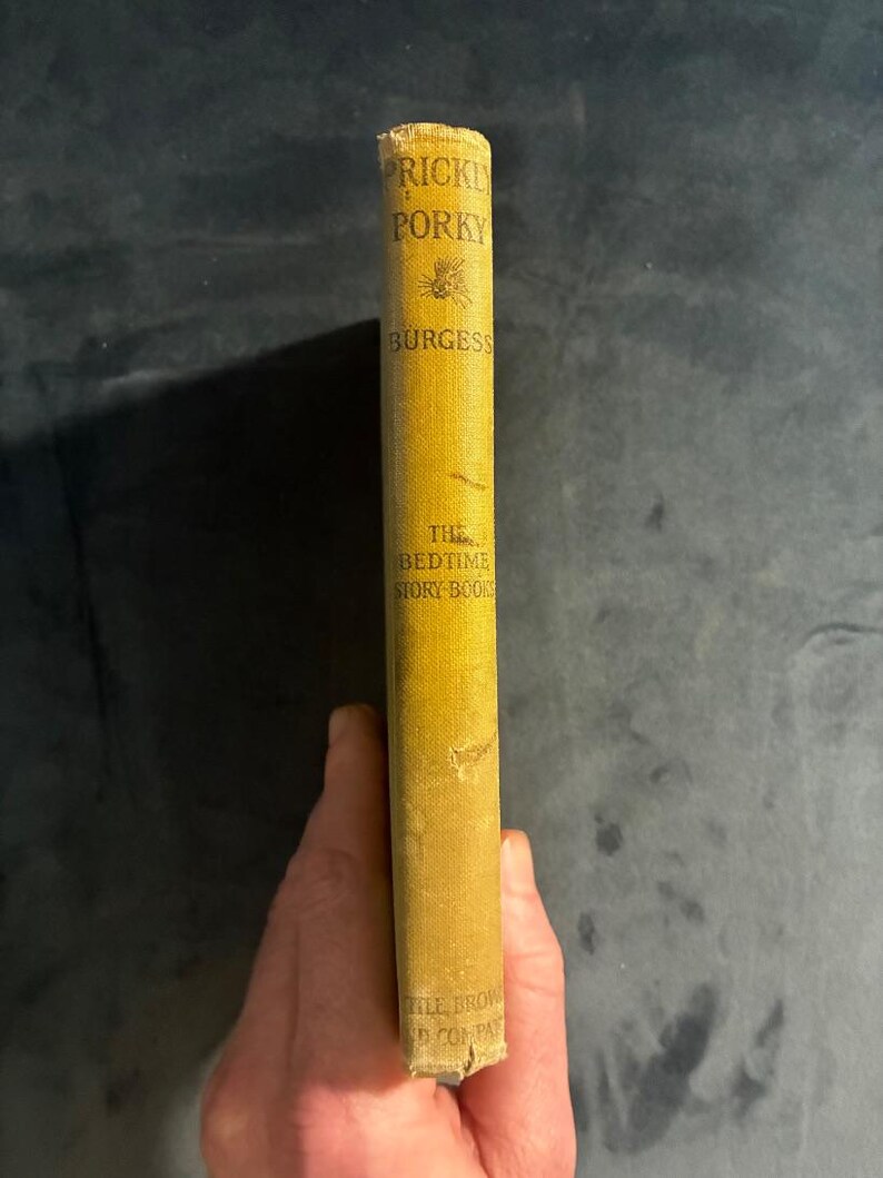 The Adventures of Prickly Porky by Thornton W. Burgess 1916 First Edition First Printing Good image 3