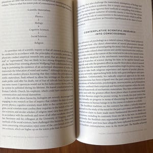 De geest in balans: meditatie, boeddhisme en christendom. Hardcover. B. Alan Wallace. Eerste editie. afbeelding 9
