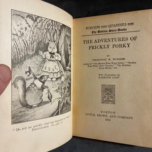 The Adventures of Prickly Porky by Thornton W. Burgess 1916 First Edition First Printing Good image 5