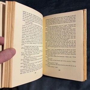 Paper Lion van George Plimpton, 1966, eerste editie, eerste druk, zeer goede/zeer goede staat, hardcover. afbeelding 5