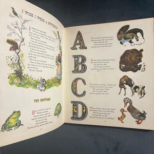 Rojankovsky's Wonderful Picture Book by Feodor Rojankovsky (illustrator); edited by Nina Rojankovsky 1972 First Edition First Printing image 5