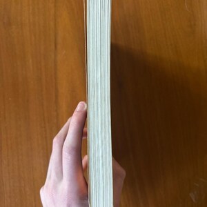 Vitruve : Les Dix Livres de l'Architecture (Traduction de Morgan) - État proche du neuf (broché) image 8