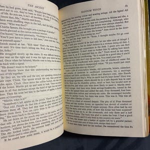 Random Winds by Belva Plain 1980 Delacorte Press Edition Very Good/Very Good Hardcover image 8