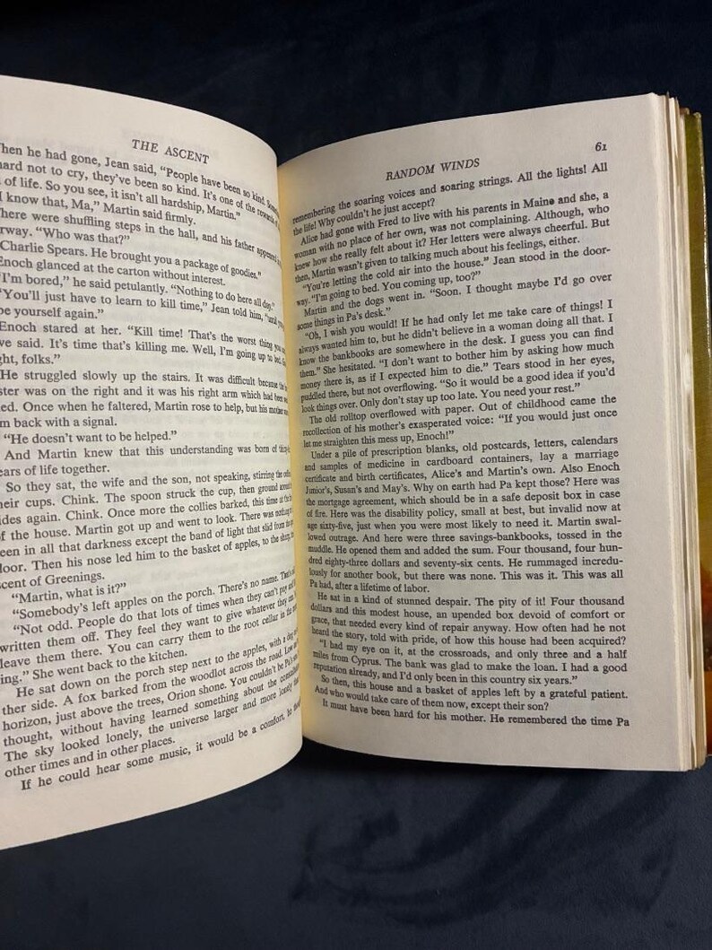 Random Winds by Belva Plain 1980 Delacorte Press Edition Very Good/Very Good Hardcover image 8