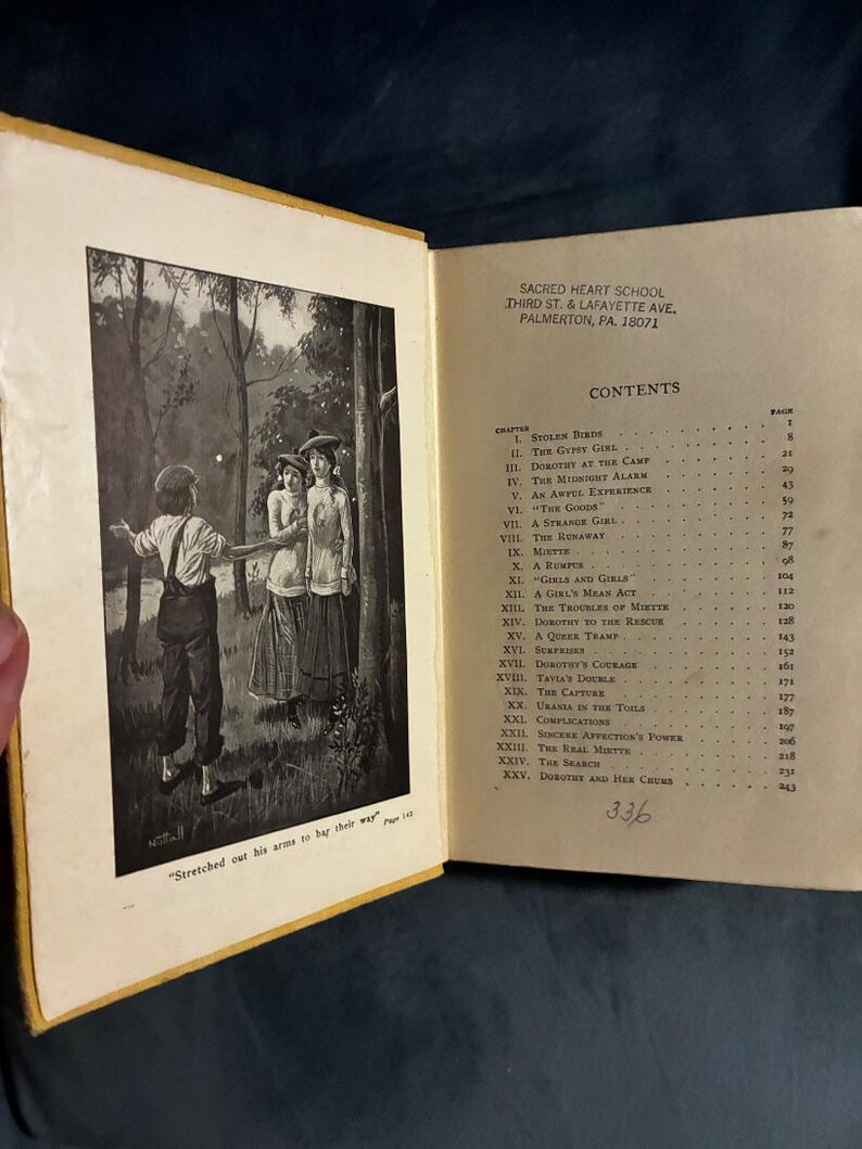 Dorothy Dale and Her Chums by Margaret Penrose Cupples & Leon Edition Good image 4