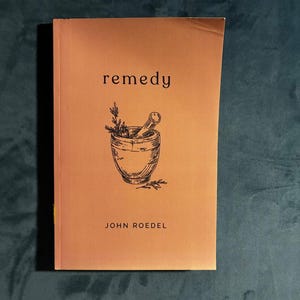 Remedy by John Roedel First Edition Near Fine Paperback image 1