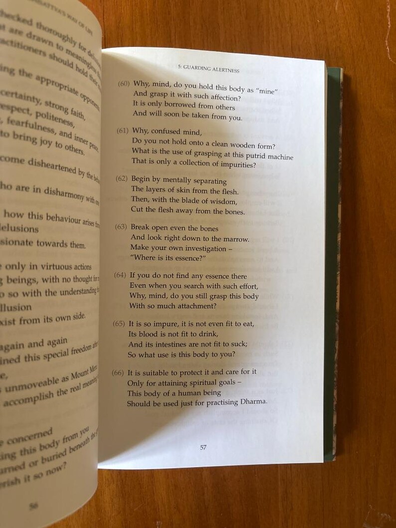 Guía del Camino del Bodhisattva por Shantideva Primera Edición Tapa dura en excelente estado imagen 9