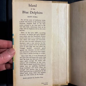La isla de los delfines azules de Scott O'Dell. Edición del club de lectura. Muy buen estado/buen estado. Tapa dura. imagen 4