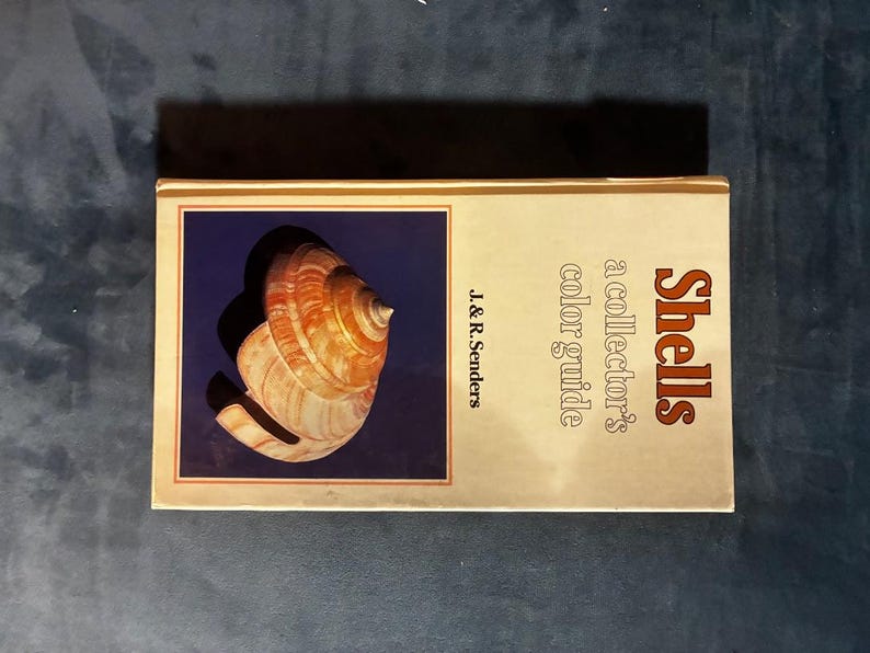 Shells: a collector's color guide by J. & R. Senders 1984 First Edition First Printing Very Good/Good Hardcover image 10