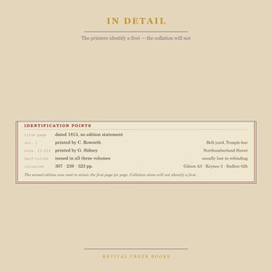Pride and Prejudice - Jane Austen First Edition Census Poster, Book Lover Gift image 8