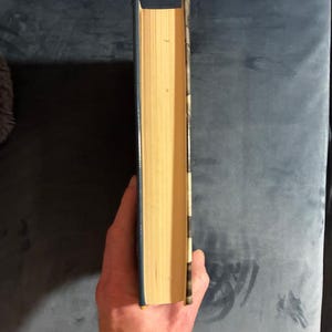 The Fool's Progress di Edward Abbey 1988 Prima edizione Prima stampa Quasi perfetto/Quasi perfetto immagine 10