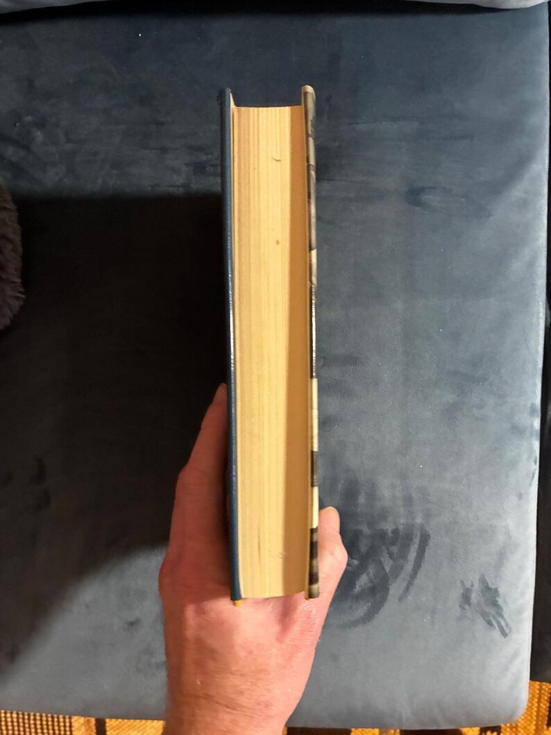 The Fool's Progress di Edward Abbey 1988 Prima edizione Prima stampa Quasi perfetto/Quasi perfetto immagine 10