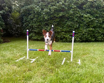 Dog Agility Jump *fully customizable*
