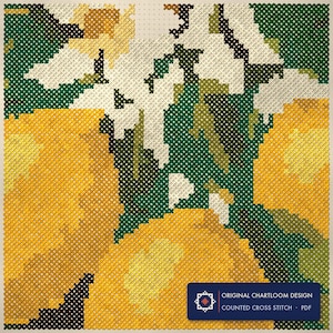 Close up of the stitching, every cross and thread colour visible