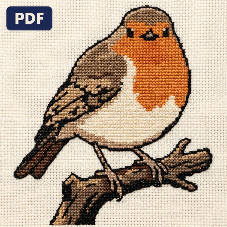 A finished a robin cross stitch piece, stitched and framed on a wall