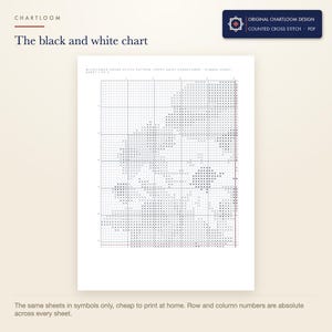 The black and white symbol chart from the a wildflower bouquet cross stitch pattern PDF, symbols only