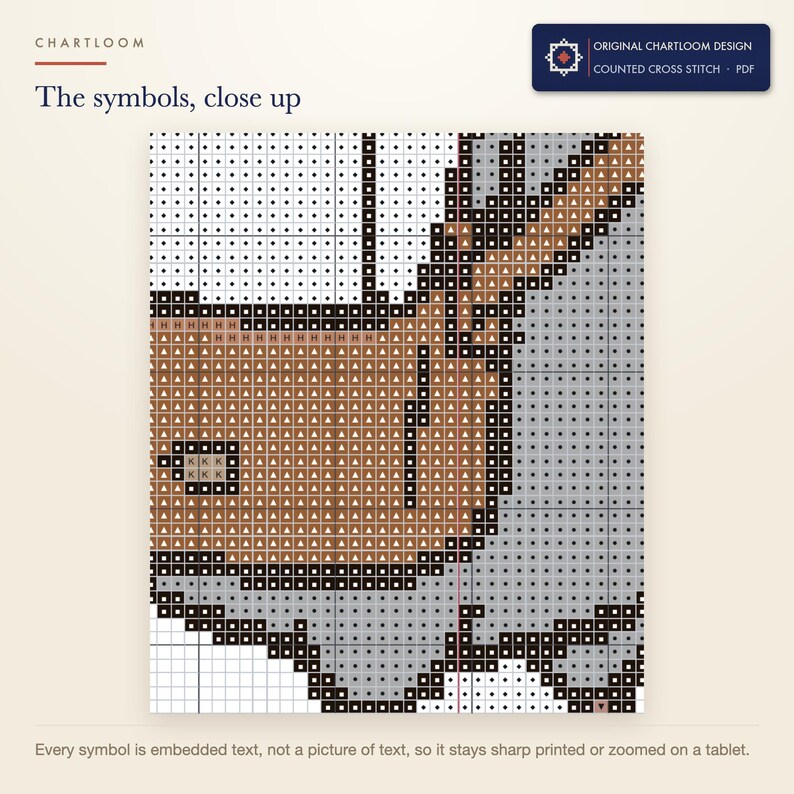 Close up of the printed symbols and grid on the pigeon message center cross stitch chart