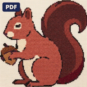 A finished a red squirrel cross stitch piece, stitched and framed on a wall