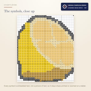 Close up of the printed symbols and grid on the duck cross stitch chart