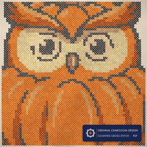 Close up of the owl cross stitch design worked stitch by stitch, every cross and thread colour visible