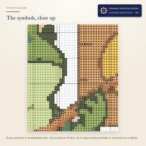 Close up of the printed symbols and grid on the frog weather bureau cross stitch chart