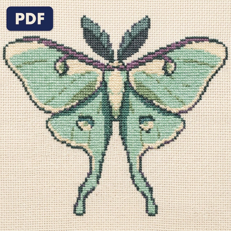 A finished a luna moth cross stitch piece, stitched and framed on a wall
