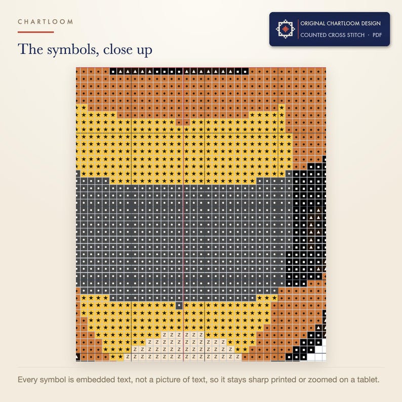 Close up of the printed symbols and grid on the a bumblebee cross stitch chart