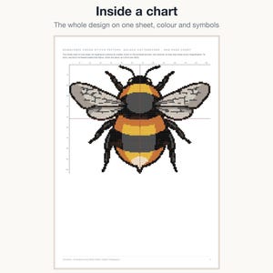 A whole cross stitch chart from the bundle showing the colour symbols and grid