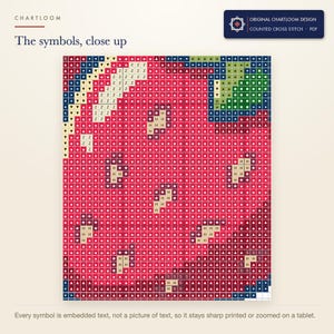Close up of the printed symbols and grid on the strawberries cross stitch chart