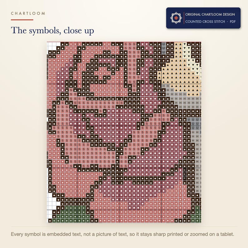 Close up of the printed symbols and grid on the skull wreathed in roses cross stitch chart
