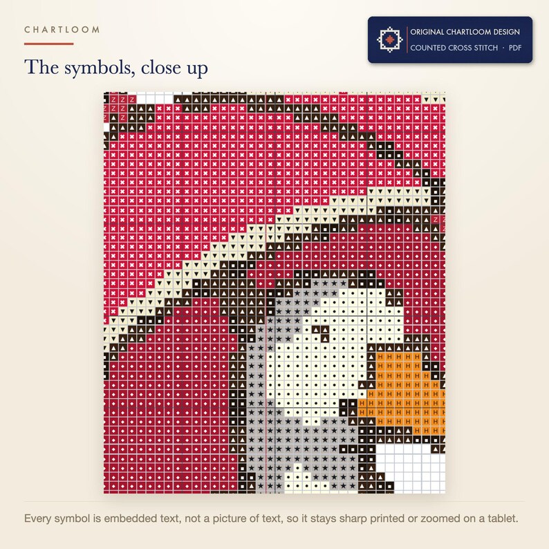 Close up of the printed symbols and grid on the duck umbrella company cross stitch chart