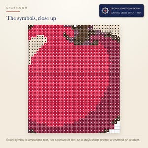 Close up of the printed symbols and grid on the cherries cross stitch chart