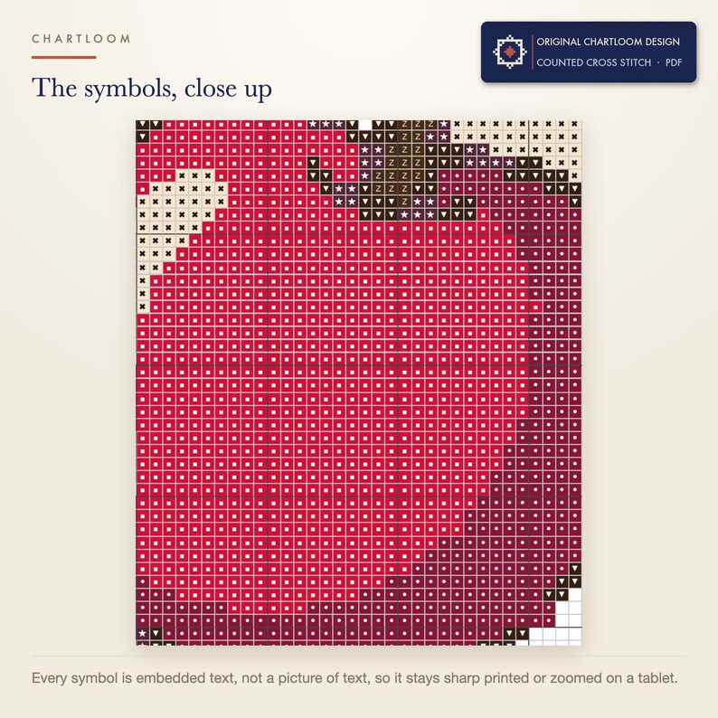 Close up of the printed symbols and grid on the cherries cross stitch chart