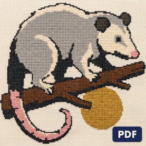 A finished opossum on a branch cross stitch piece, stitched and framed on a wall