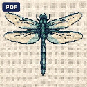 A finished a dragonfly cross stitch piece, stitched and framed on a wall